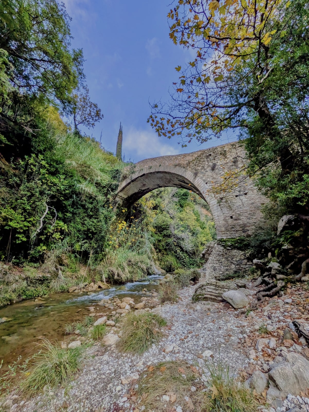 7906ff9c 41cb 4c46 935c a9e6d0adb379